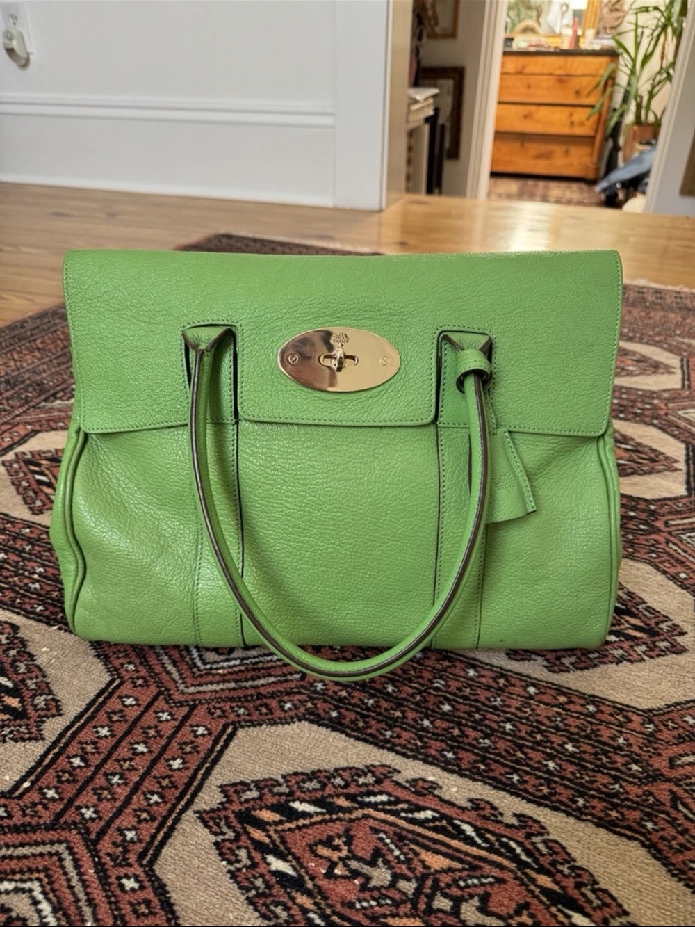Green Mulberry Baywater Satchel